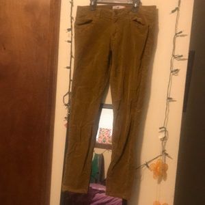 Ribbed velvet material dark khaki color